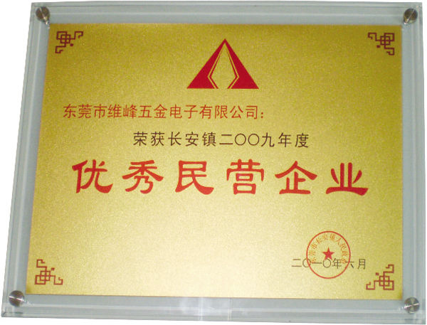 长安镇2009年度优秀民营企业